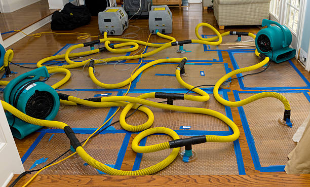 Professional Basement Flood Cleanup technician working in Hubbardston, MA